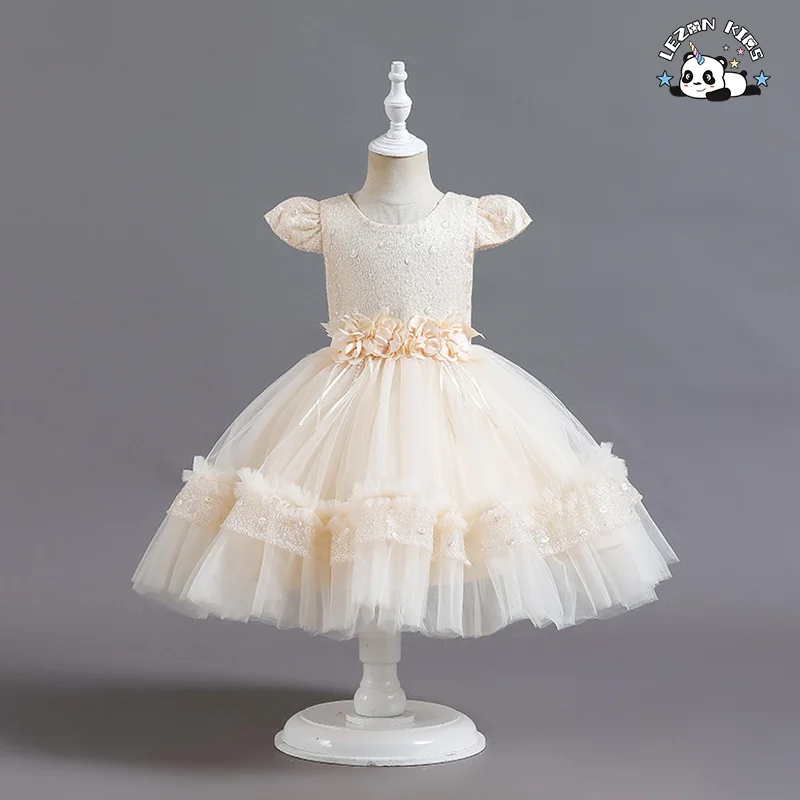 LEZONKIDS - 2022 New Girl's Dress Mesh Flower Dress Foreign Trade Children's Dress Spot Wholesale